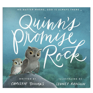 Quinn's Promise Rock | Book